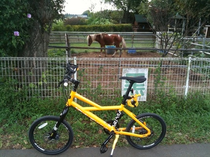 小径自転車HOOLIGANとの生活。